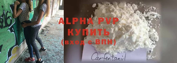 прущие грибы Волоколамск