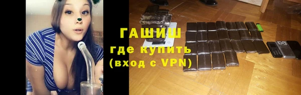 прущие грибы Волоколамск