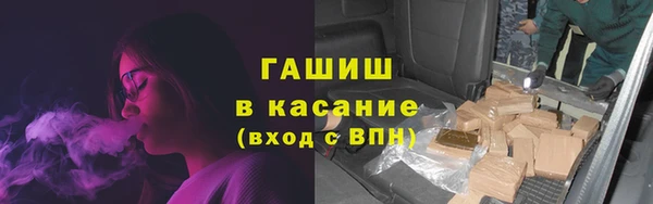 прущие грибы Волоколамск