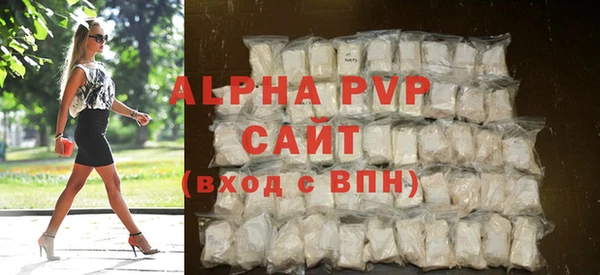 прущие грибы Волоколамск