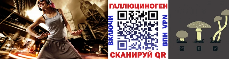 Галлюциногенные грибы мицелий  Купить  Родники 